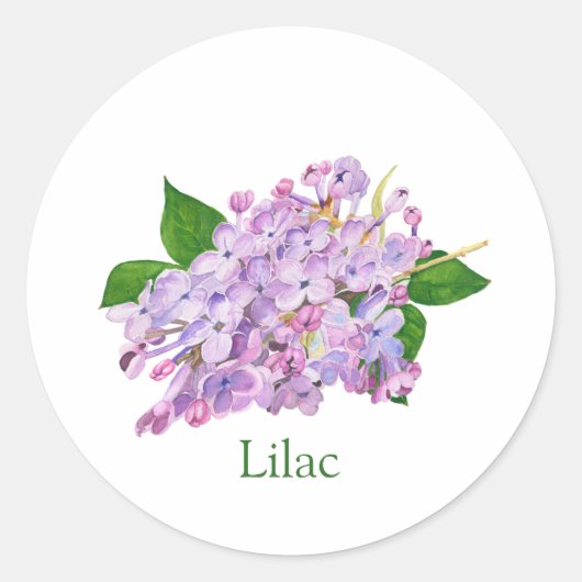 Paarse lila botanische waterverf ronde sticker (Voorkant)
