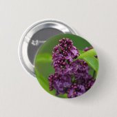 Paarse Lila Button (Voorkant /achterkant)