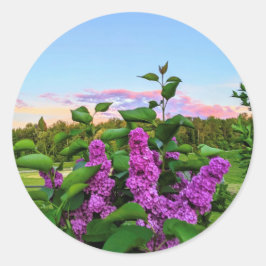Paarse Lilacs bij zonsondergang Ronde Sticker
