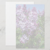 Paarse Lilacs Fade25 Briefpapier (Voorkant / Achterkant)