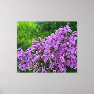 Paarse lilacs romantische elegante paarse foto van canvas afdruk