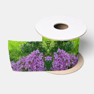 Paarse lilacs romantische elegante paarse foto van lint