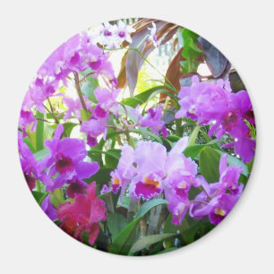 Paarse Lilies Magnet Magneet