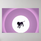Paarse Lion Poster (Voorkant)