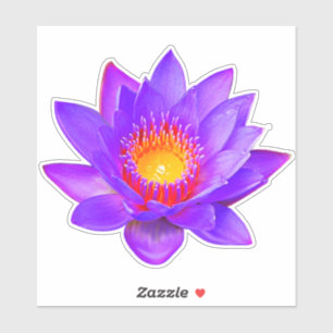 Paarse Lotus Bloem Sticker