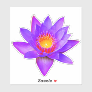 Paarse Lotus Bloem Sticker