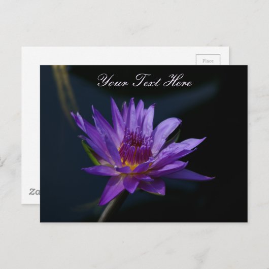 Paarse Lotus Waterlily Briefkaart (Voorkant / Achterkant)
