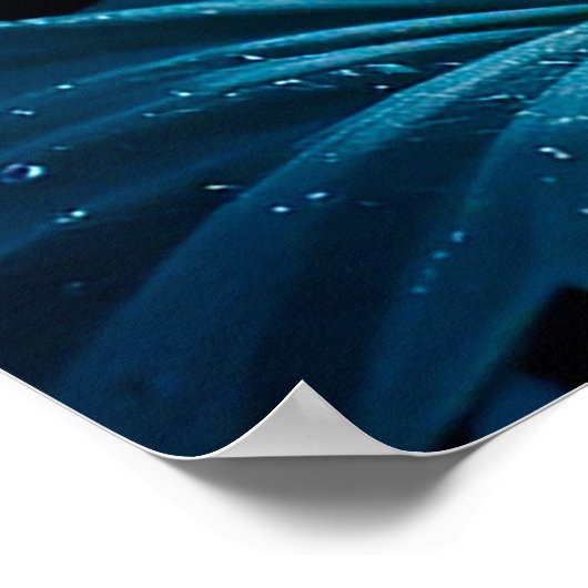 Paarse lotusbloesem onder maanlicht poster (Hoek)