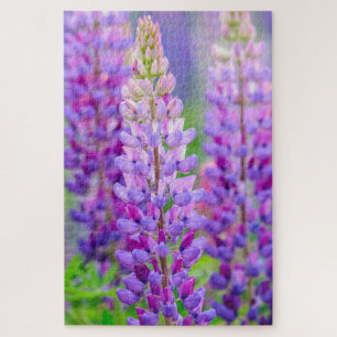 Paarse Lupine Bloemen Puzzel