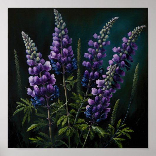 Paarse Lupine Flower Art Print Poster (Voorkant)