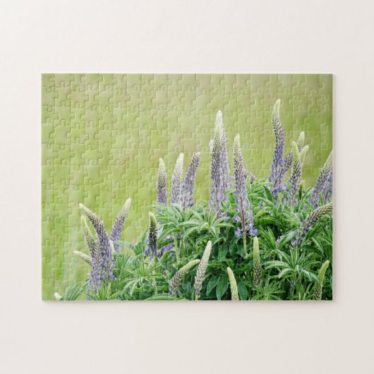Paarse Lupine Flowers Legpuzzel (Horizontaal)