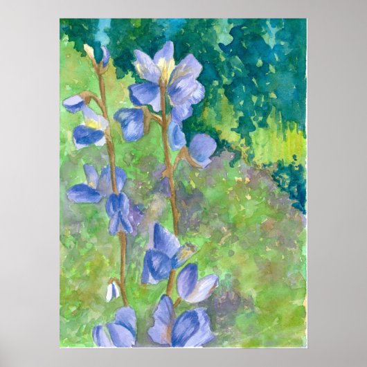 Paarse Lupine Wildbloemen Waterverf Landschap Poster (Voorkant)