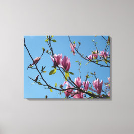 paarse magnolia - bloemen in de blauwe lucht canvas afdruk
