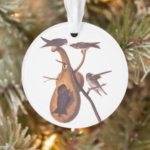 Paarse Martin Audubon Bird Family and Gourd Home Ornament