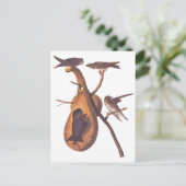Paarse Martin Audubon Birds met Gourd Home Briefkaart (Staand voorkant)