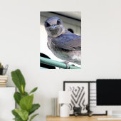 Paarse Martin Poster (Thuiskantoor)