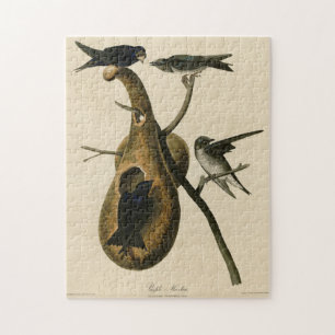 Paarse Martin uit Audubon's Birds of America Legpuzzel