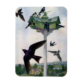 Paarse Martins en hun geboorteland Magneet