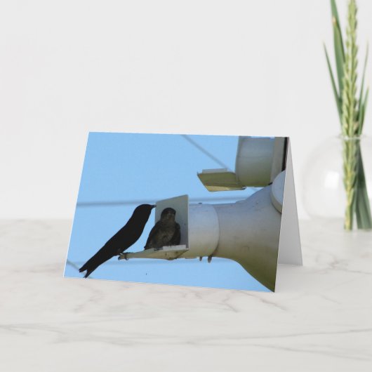 Paarse Martins Kaart (Voorkant)