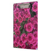 Paarse moeders klembord (Links)