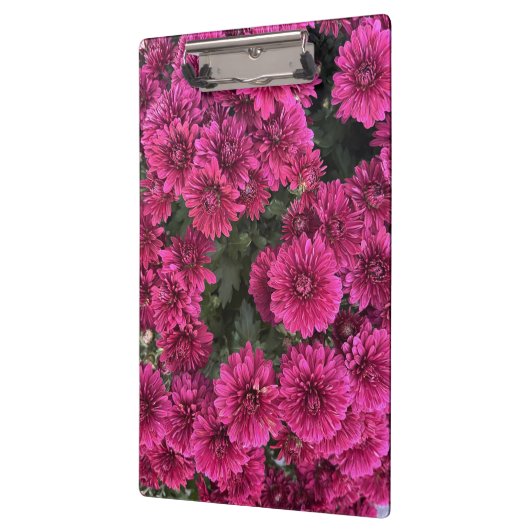 Paarse moeders klembord (Links)