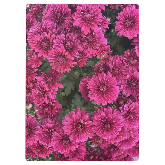 Paarse moeders klembord (Achterkant)