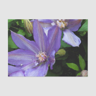 Paarse morning Glory Flower Tissuepapier