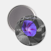 Paarse Morning Glory-Magnet Magneet (Voorkant / Achterkant)