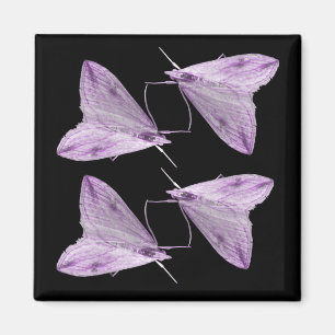 Paarse Moth Art Magnet Magneet