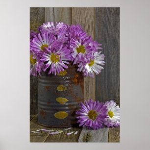 paarse mum bloemen in roesttin poster
