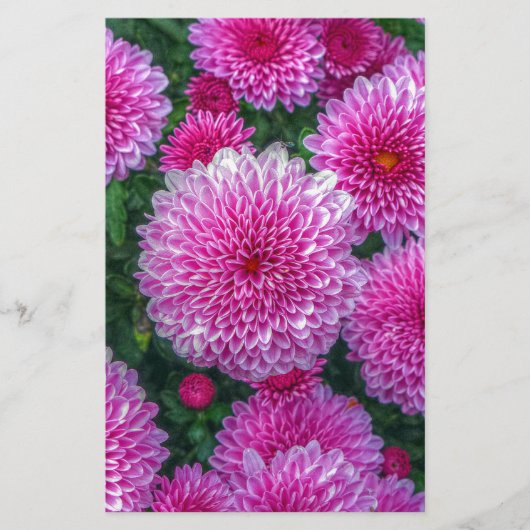 Paarse Mums Briefpapier (Voorkant)