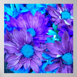 Paarse N Turquoise Daisies Poster