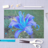 Paarse N Turquoise Daylily Tissuepapier (Craft)