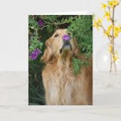 Paarse Neus Kaart (Gele Bloem)