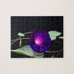 Paarse ochtendglorie Puzzle Legpuzzel