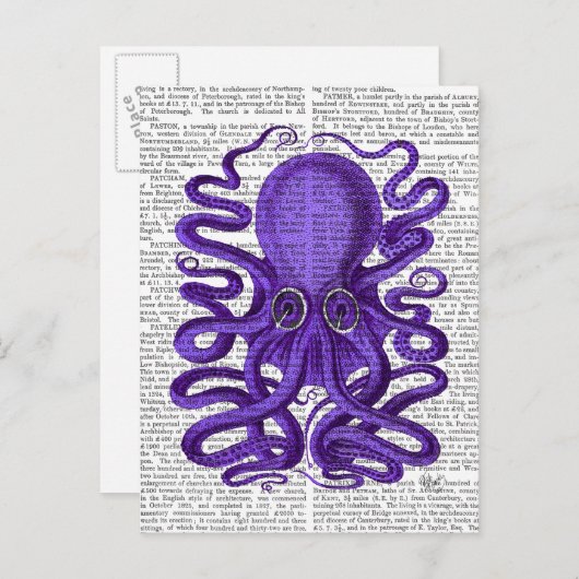 Paarse octopus briefkaart (Voorkant / Achterkant)