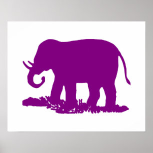 Paarse olifant poster
