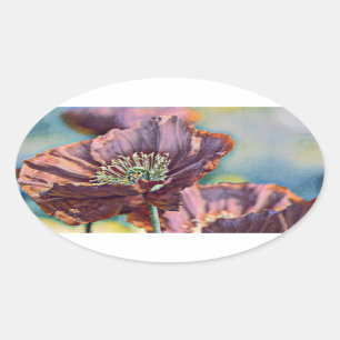 Paarse oranje rode papaverbloemen waterverf ovale sticker