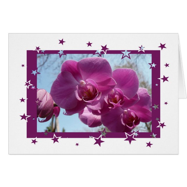 Paarse Orchid (Voorkant Horizontaal)