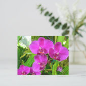 Paarse Orchid Briefkaart (Staand voorkant)