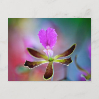 Paarse Orchid Briefkaart