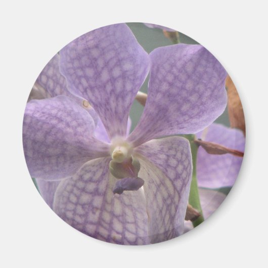 Paarse Orchid Magneet (Voorkant)