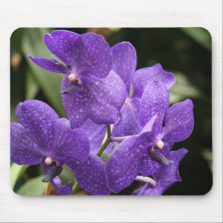Paarse Orchid Muismat