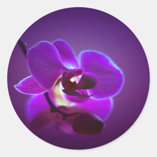 Paarse Orchid Ronde Sticker (Voorkant)