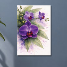 Paarse Orchidee Botanisch