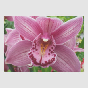 Paarse Orchidee Elegant Floral Tissuepapier