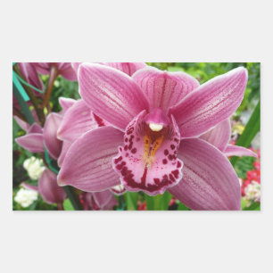 Paarse Orchidee Elegante Bloem Botanisch Rechthoekige Sticker