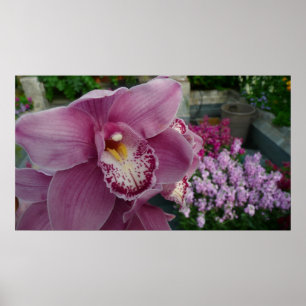 Paarse Orchidee en Kleurrijke Botanische Tuin Poster