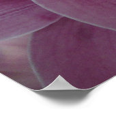 Paarse orchidee en tuinkleurige Floral Poster (Hoek)