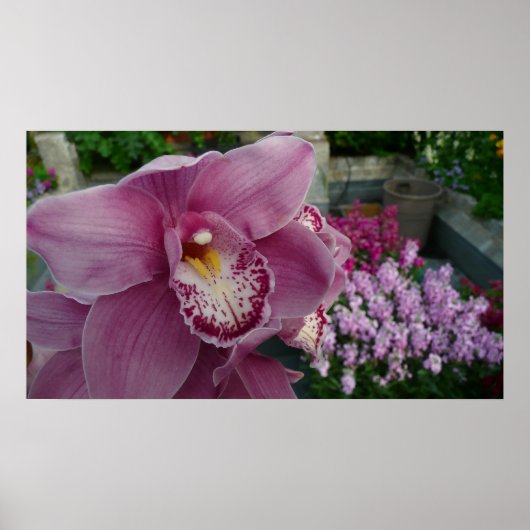 Paarse orchidee en tuinkleurige Floral Poster (Voorkant)